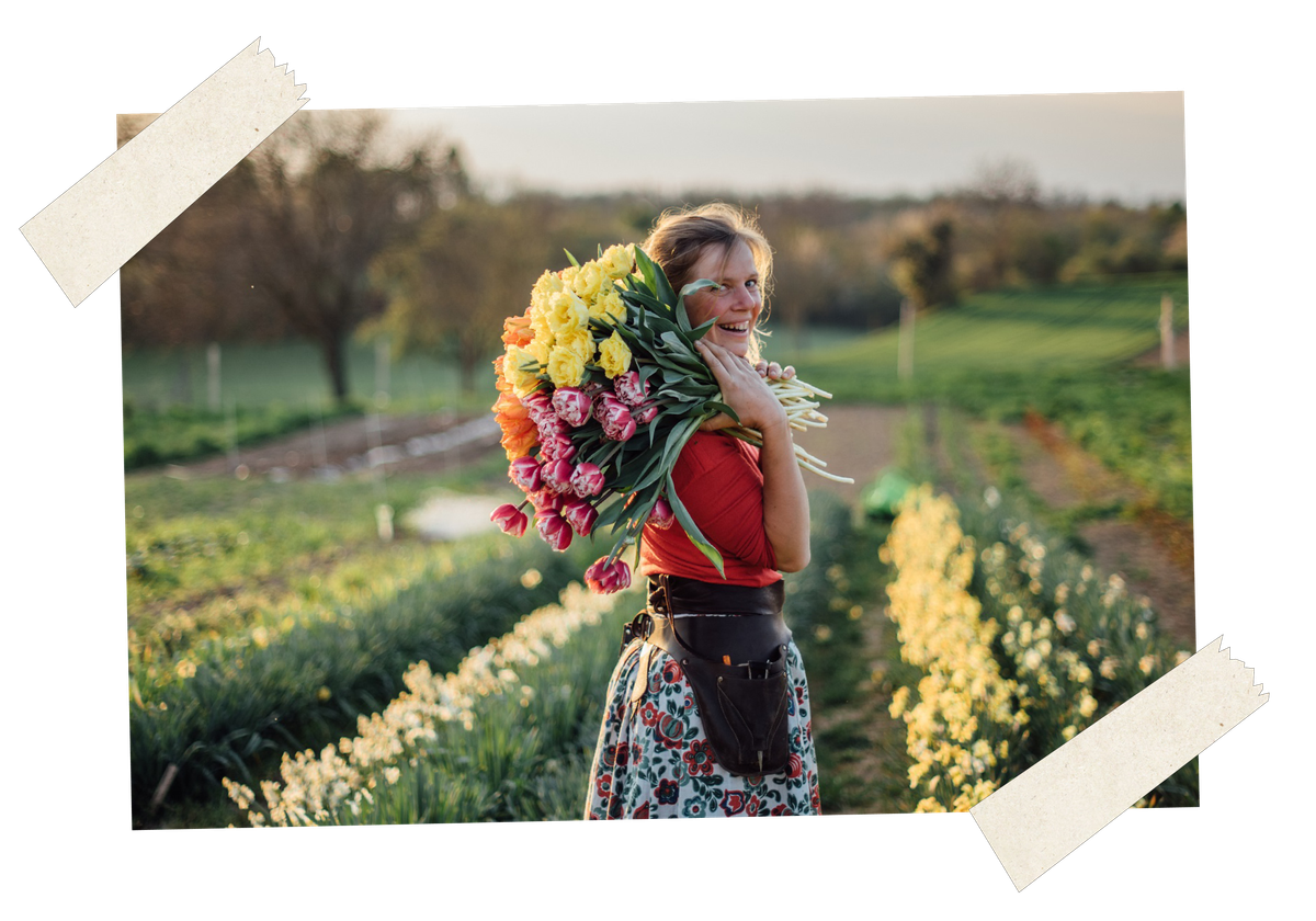KI generiert: Eine Frau hält einen großen Blumenstrauß auf einem Feld bei Sonnenuntergang.