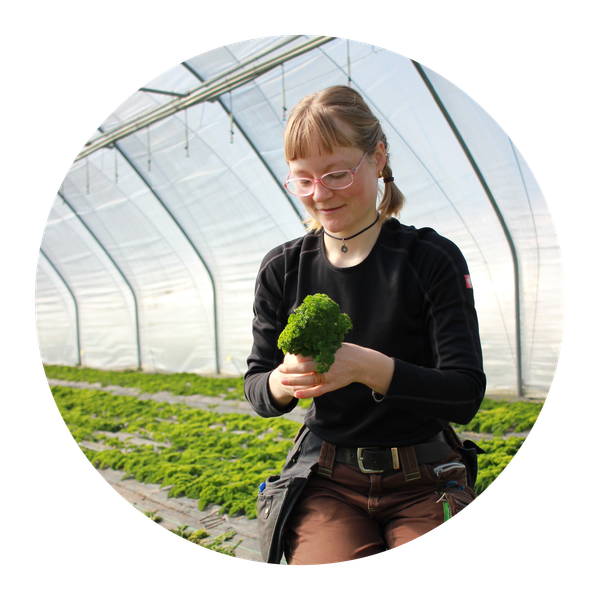 Unser Vorstandsmitglied Judith Muschiol hält eine Ranke Malabar-Spinat in der Hand.