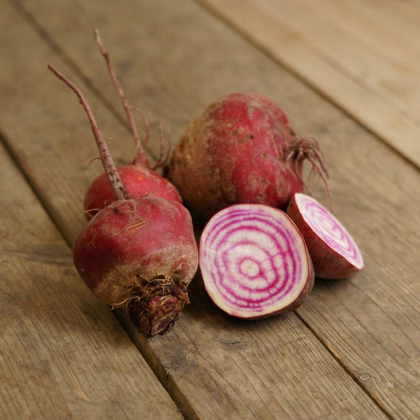 Produktfoto zu Rote Bete "Tonda di Chioggia"