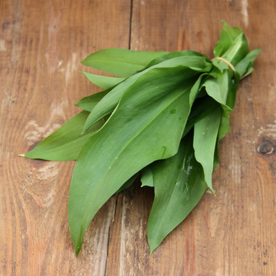 Produktfoto zu Bärlauch