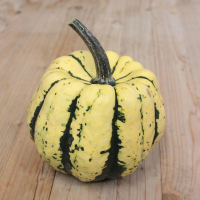 Produktfoto zu Kürbisse "Sweet Dumpling"