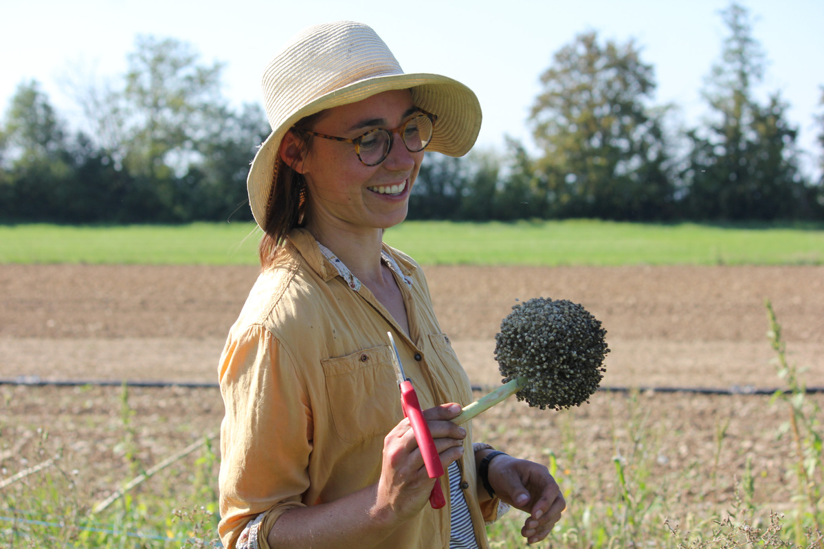 KI generiert: Eine Person mit Sonnenhut hält eine Pflanze auf einem Feld.