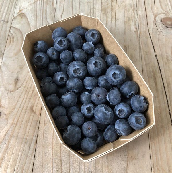 Produktfoto zu Heidelbeeren 125 g Schale