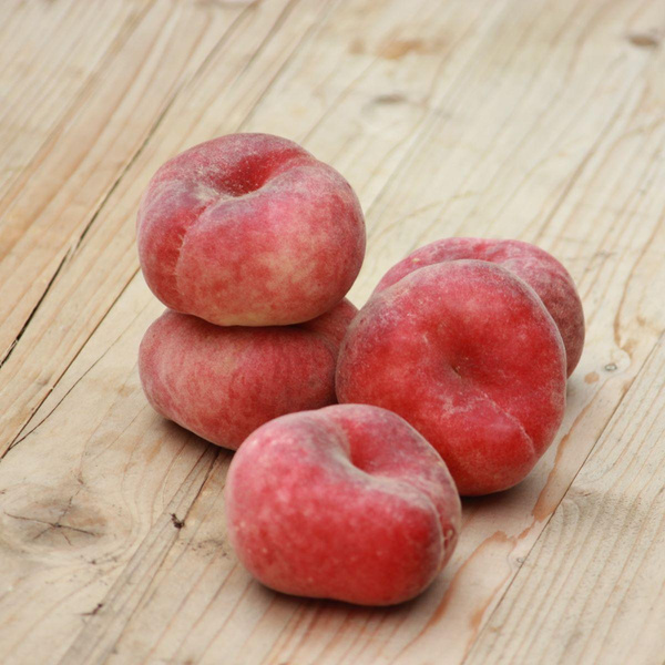 Produktfoto zu Tellerpfirsich