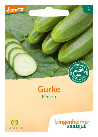 Produktfoto zu Freilandgurken