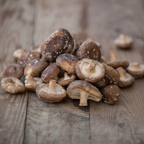 Produktfoto zu Shiitakepilze