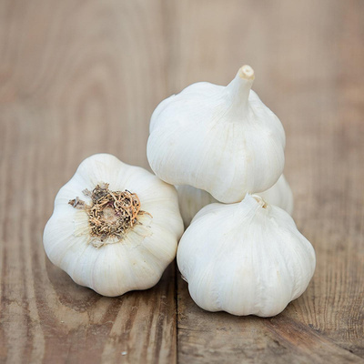 Produktfoto zu Knoblauch