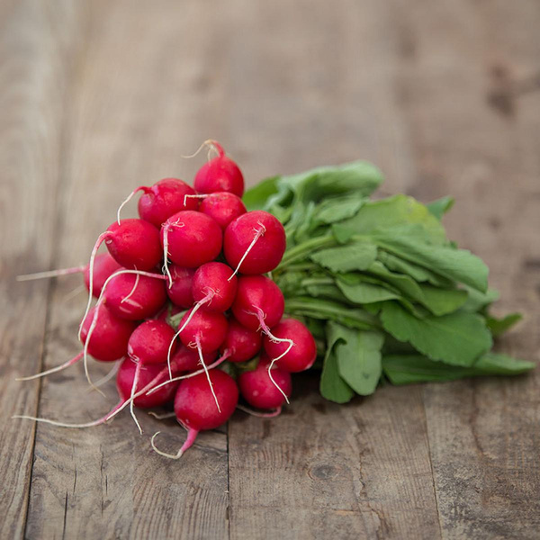 Produktfoto zu Radieschen