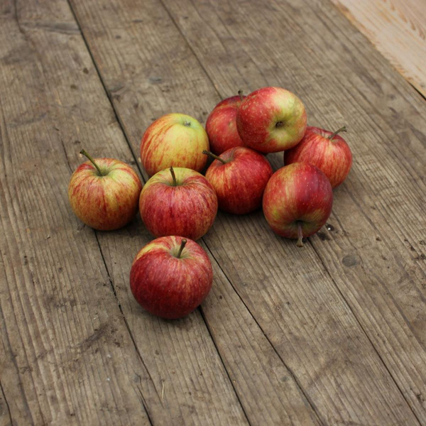 Produktfoto zu Kleine Weihnachtsäpfel