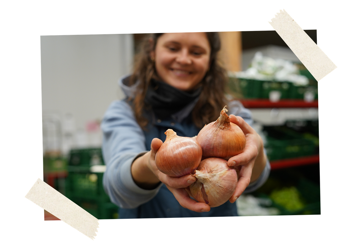 KI generiert: Eine Person hält drei Zwiebeln in den Händen und lächelt.