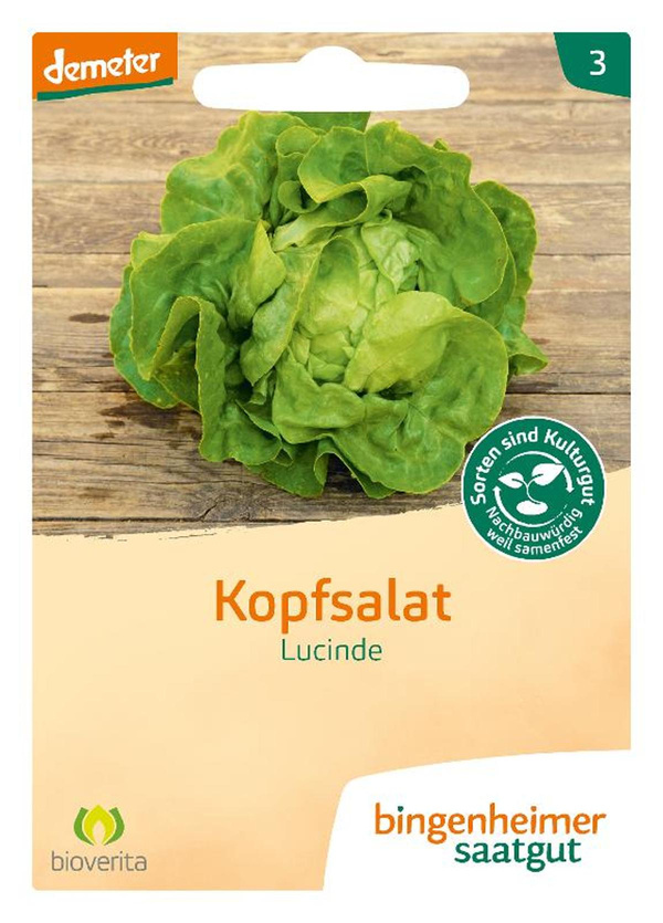Produktfoto zu Kopfsalat