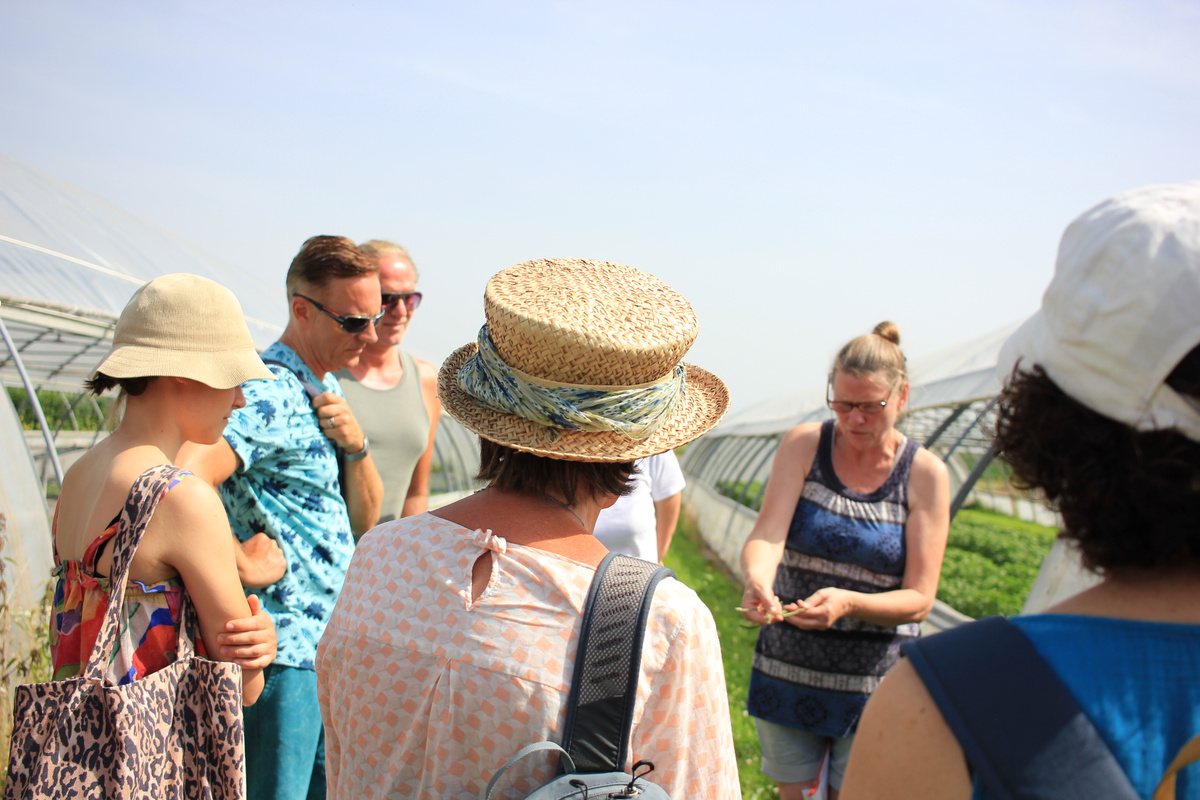 KI generiert: Eine Gruppe von Menschen besucht ein landwirtschaftliches Gewächshaus bei sonnigem Wetter.