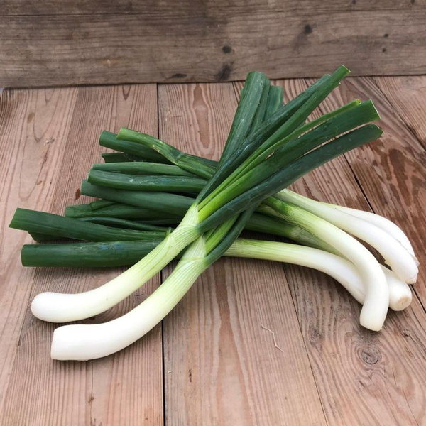 Produktfoto zu Lauchzwiebeln