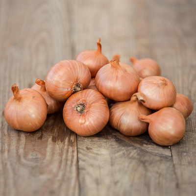 Produktfoto zu Schalotten