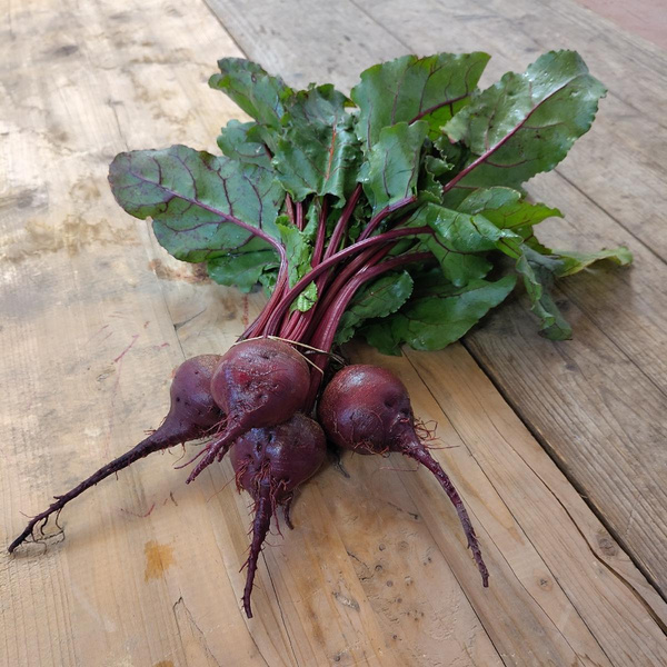 Produktfoto zu Rote Bete mit Grün