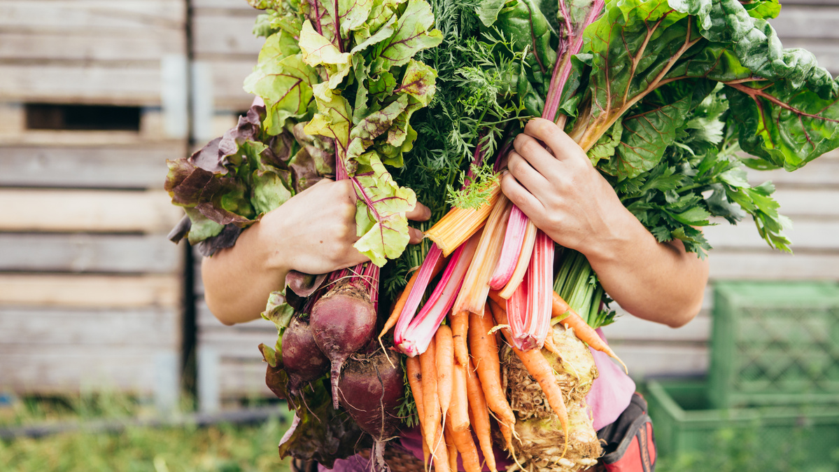 KI generiert: Person hält frisches, bunt gemischtes Gemüse vor Holzwand.