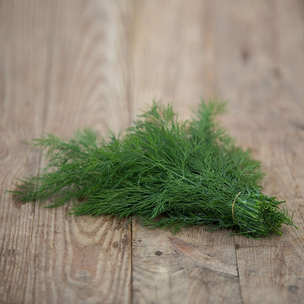 Produktfoto zu Dill