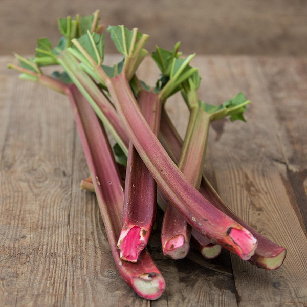 Produktfoto zu Rhabarber