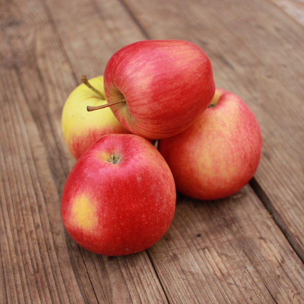 Produktfoto zu Äpfel "Pinova" 10 kg-Kiste