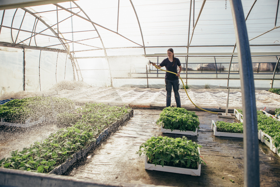 Judith Muschiol bewässert unsere Jungpflanzen mit dem Schlauch.