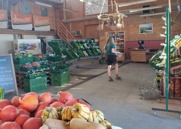 KI generiert: Bioladen mit Obst, Gemüse und Demeter-Produkten. Eine Person geht vorbei.