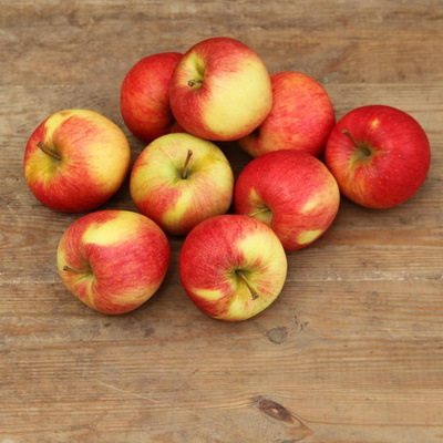 Produktfoto zu Äpfel "Santana" 10 kg-Kiste