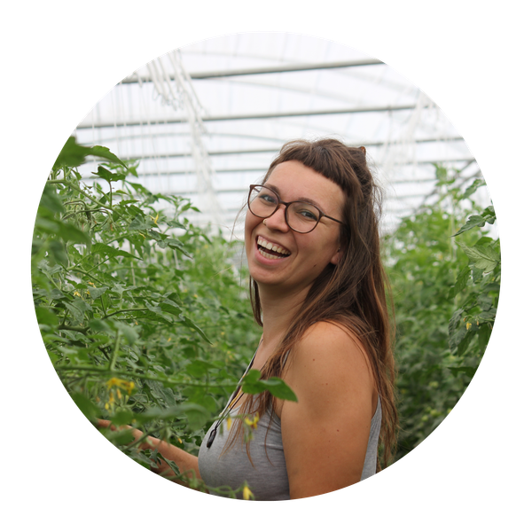 KI generiert: Eine Person lächelt in einem Gewächshaus voller Tomatenpflanzen.