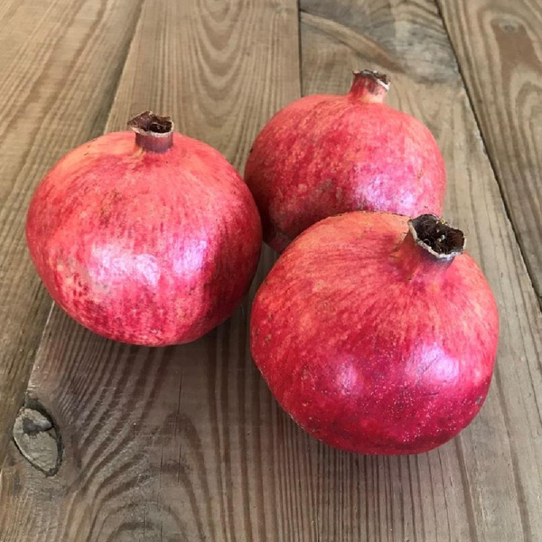 Produktfoto zu Granatapfel "Hicaz"