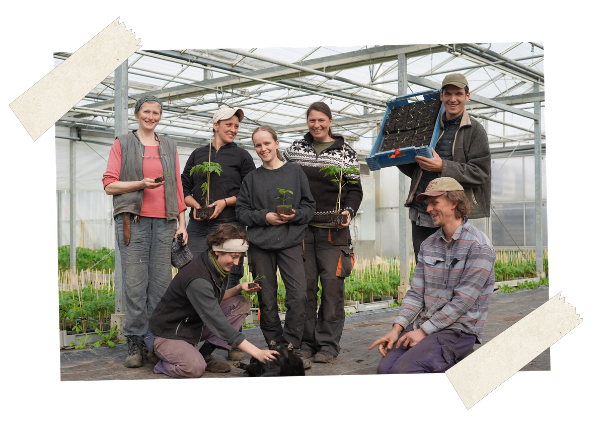 KI generiert: Eine Gruppe von Menschen hält Pflanzen in einem Gewächshaus in die Kamera.