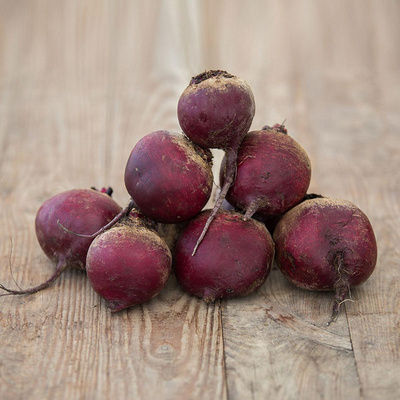 Produktfoto zu Rote Bete "Gesche"