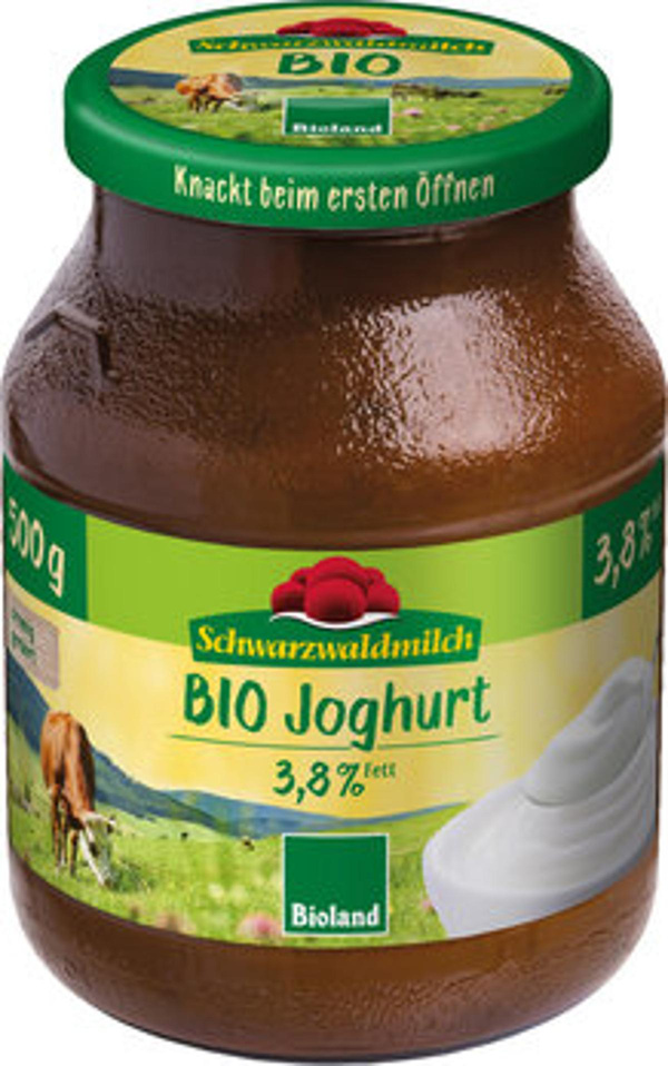 Produktfoto zu Joghurt Natur, 3,8%