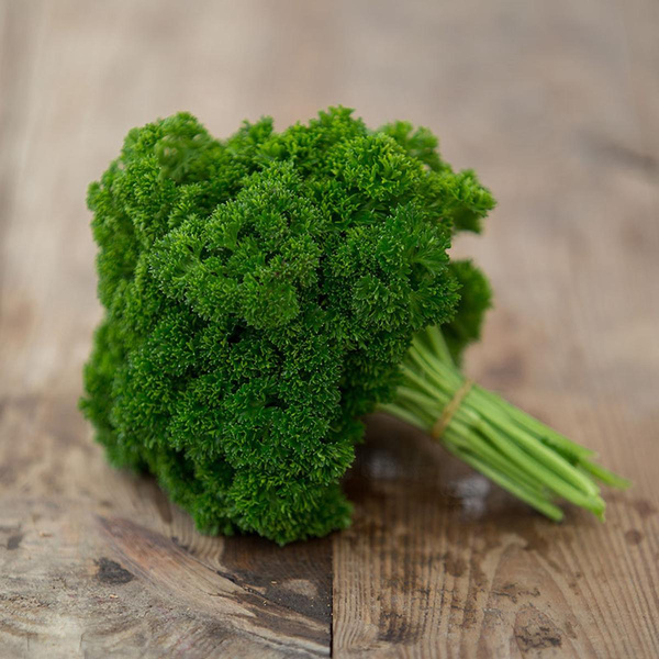 Produktfoto zu Krause Petersilie