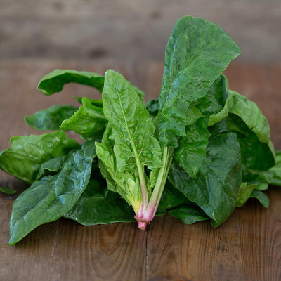 Produktfoto zu Spinat