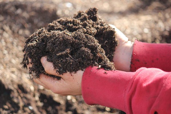 Eine Mitarbeiterin von Piluweri hält selbst hergestellten Kompost in beiden Händen.