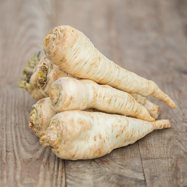 Produktfoto zu Wurzelpetersilie