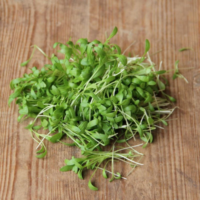 Produktfoto zu Kresse