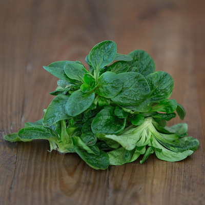 Produktfoto zu Feldsalat