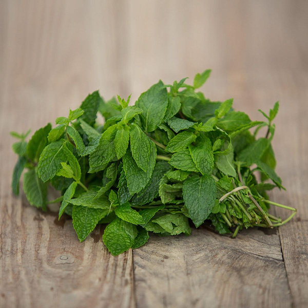 Produktfoto zu Minze