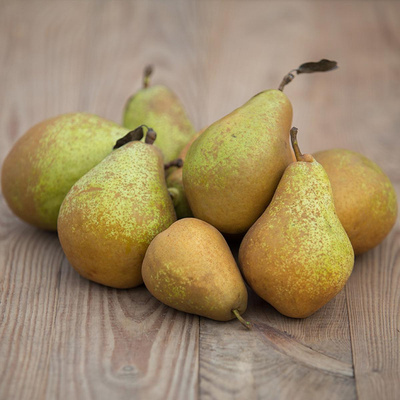Produktfoto zu Birnen "Pierre Corneille"
