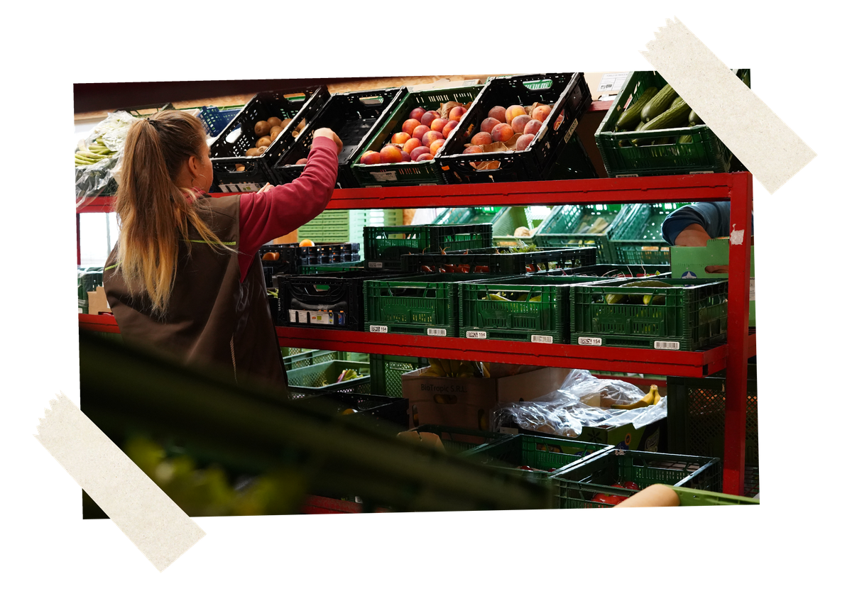 KI generiert: Eine Person sortiert Obst und Gemüse in einem Lagerregal.