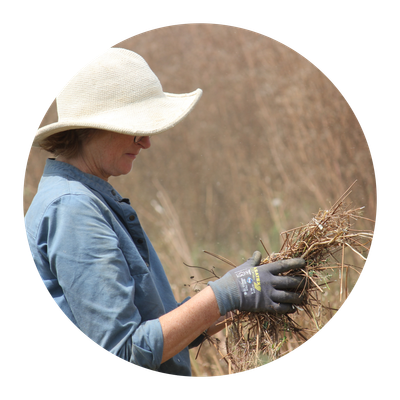 KI generiert: Person mit Hut und Handschuhen hält Pflanzenmaterial im Freien.