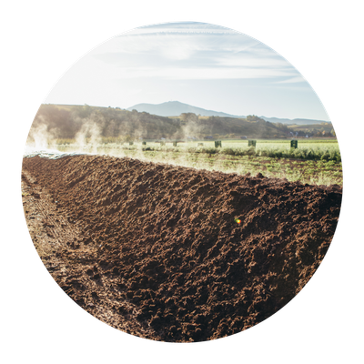 Im Vordergrund unsere selbstgemachter, dampfender Kompost, im Hintergrund der Blauen.