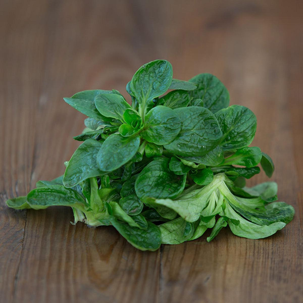 Produktfoto zu Feldsalat
