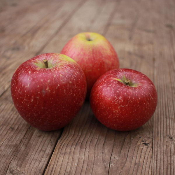 Produktfoto zu Äpfel "Natyra"