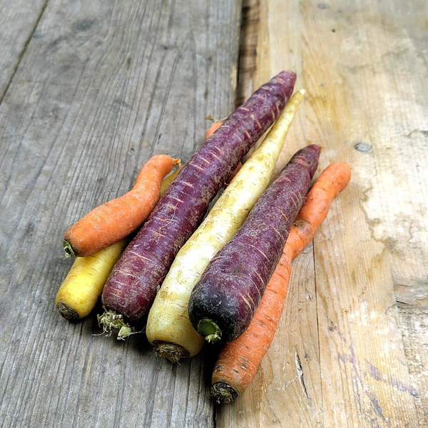 Produktfoto zu Bunter Möhren-Mix