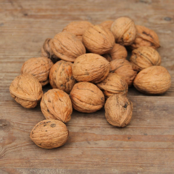 Produktfoto zu Walnüsse
