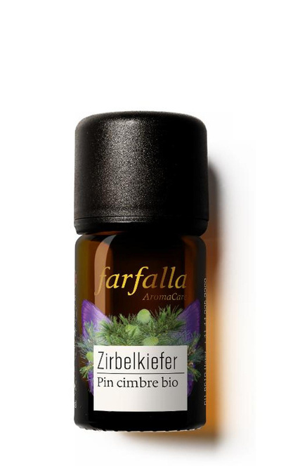 Produktfoto zu Zirbelkiefer