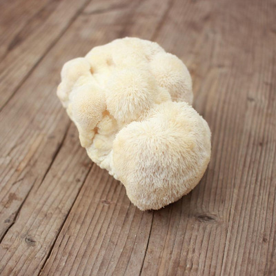 Produktfoto zu Igelstachelbart-Pilz