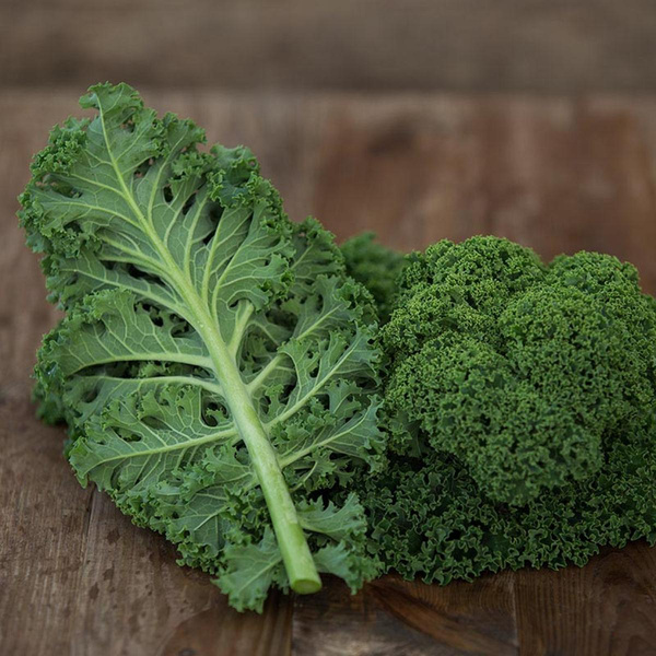 Produktfoto zu Grünkohl