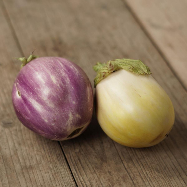 Produktfoto zu Aubegine "Rotanda bianca"